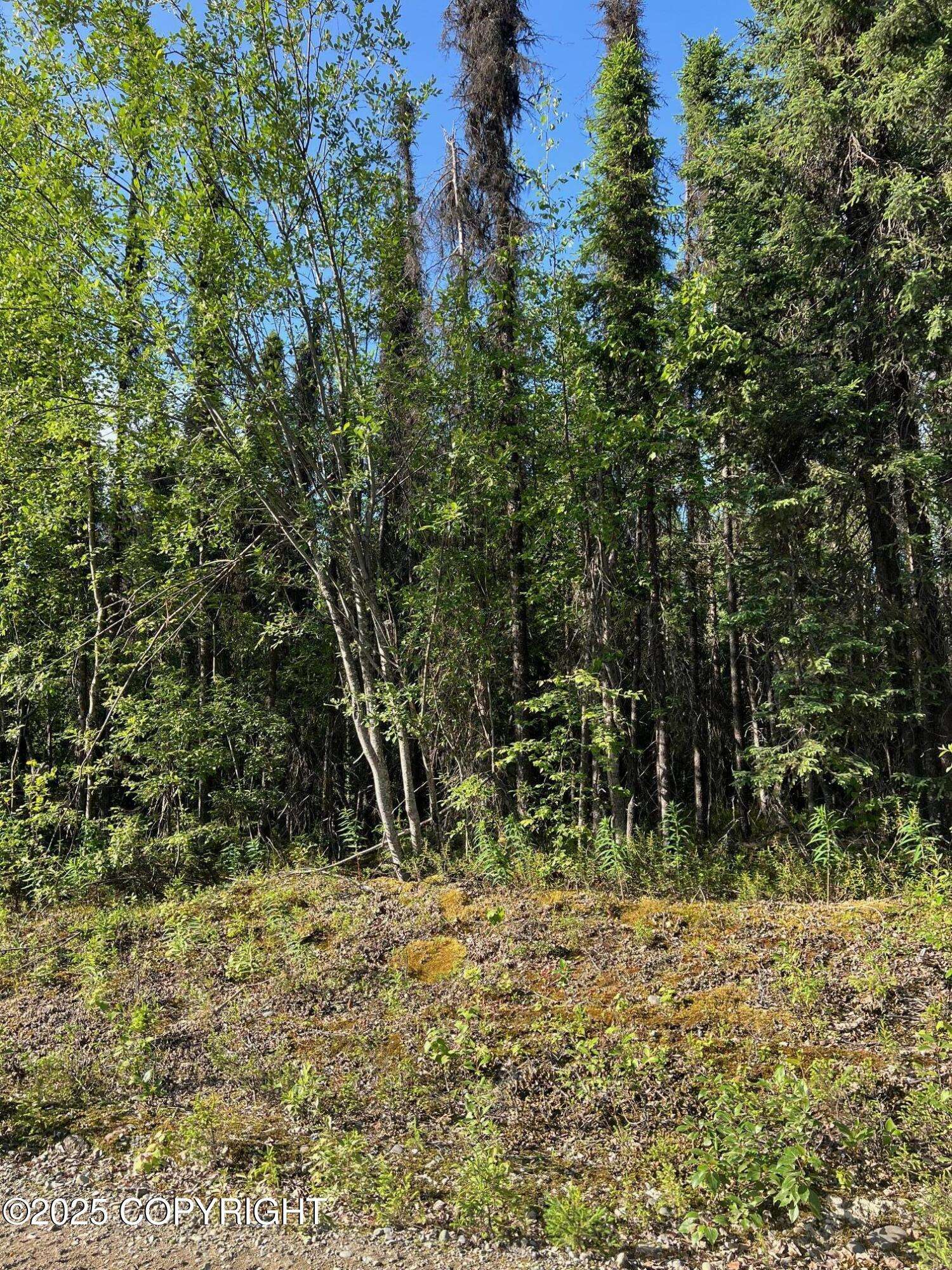 Willow, AK 99688,14024 E Wilderness Rim RD