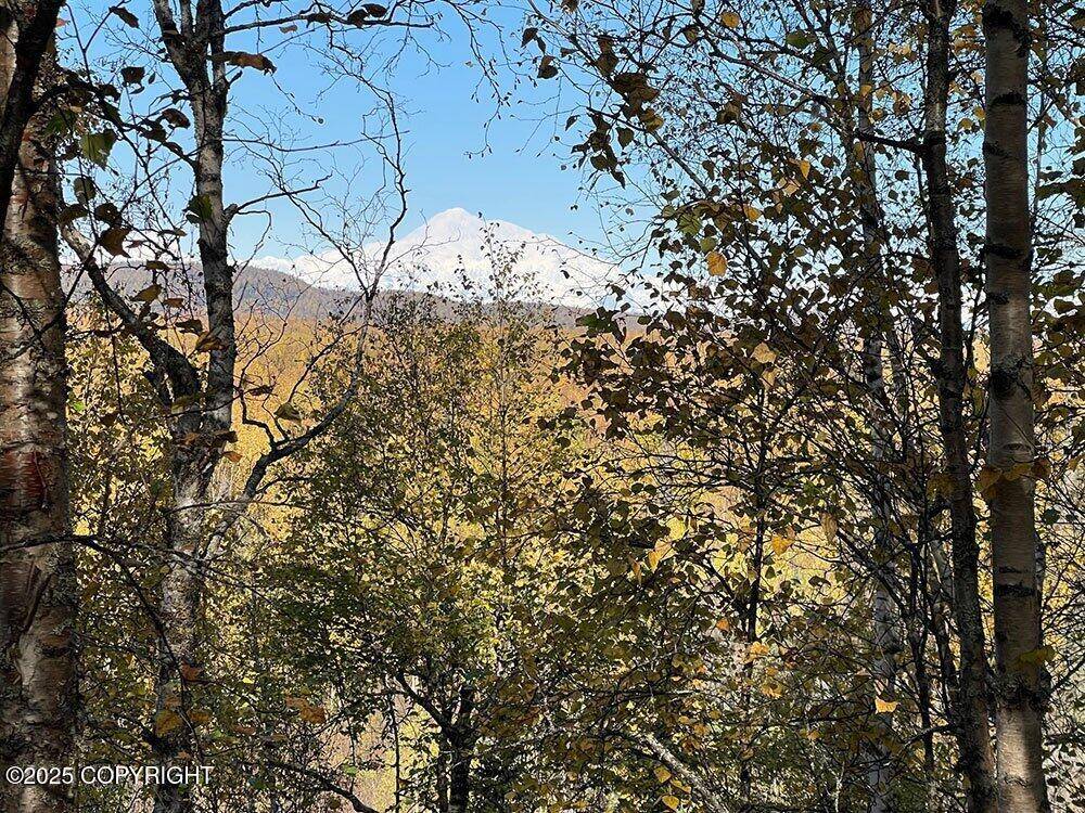 Talkeetna, AK 99676,25818 S Gadol DR