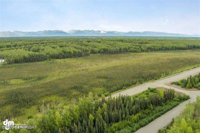 Houston, AK 99694,2007 N Skye CIR