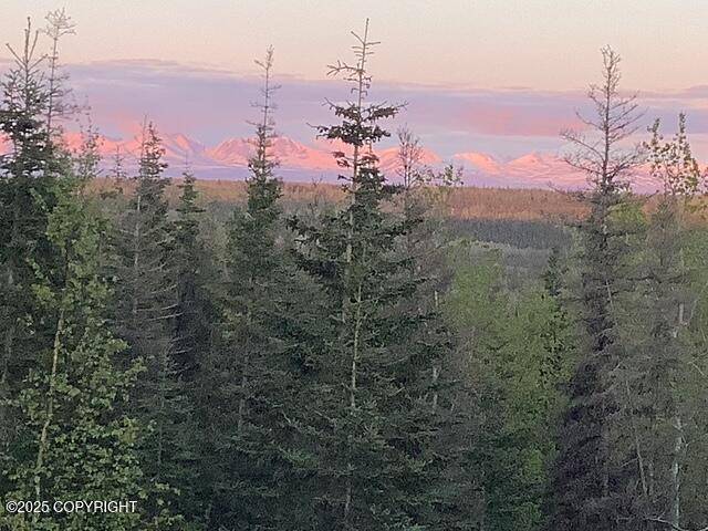 Soldotna, AK 99669,34880 Schwalm RD