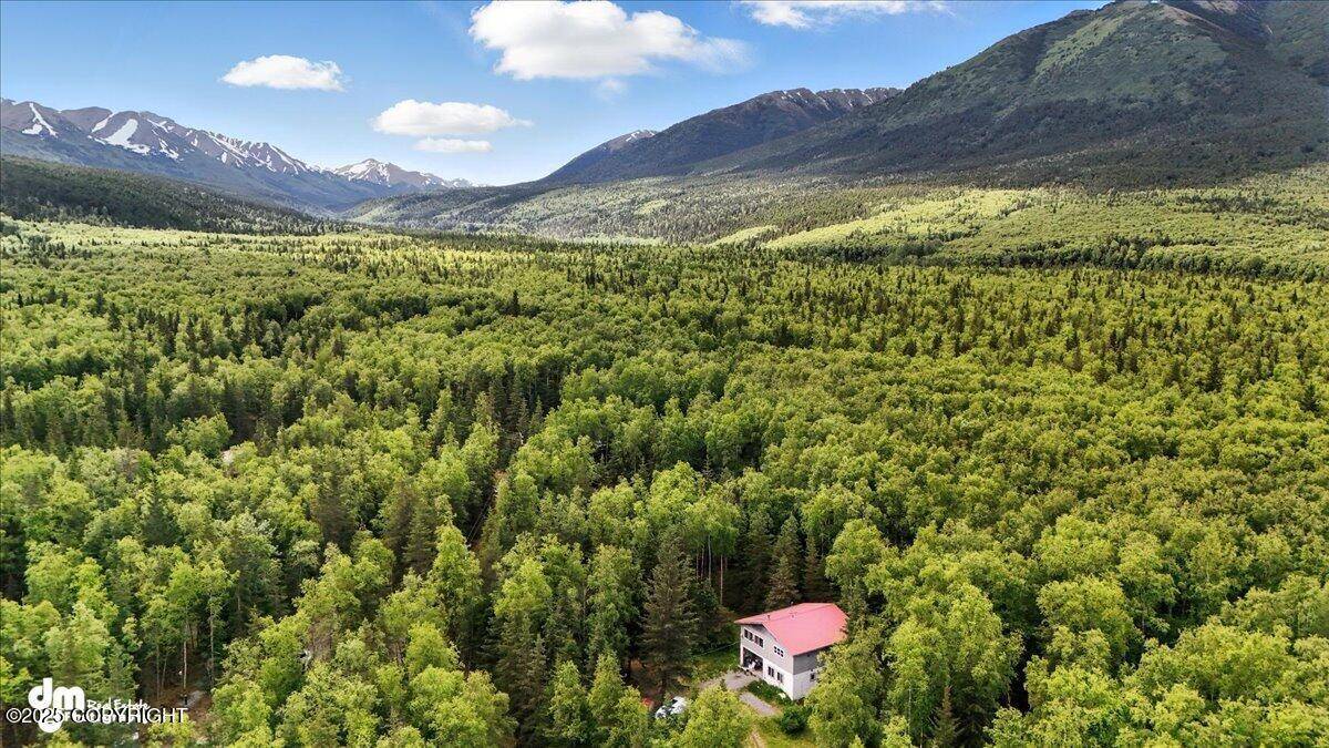 Hope, AK 99605,63735 Caribou LN
