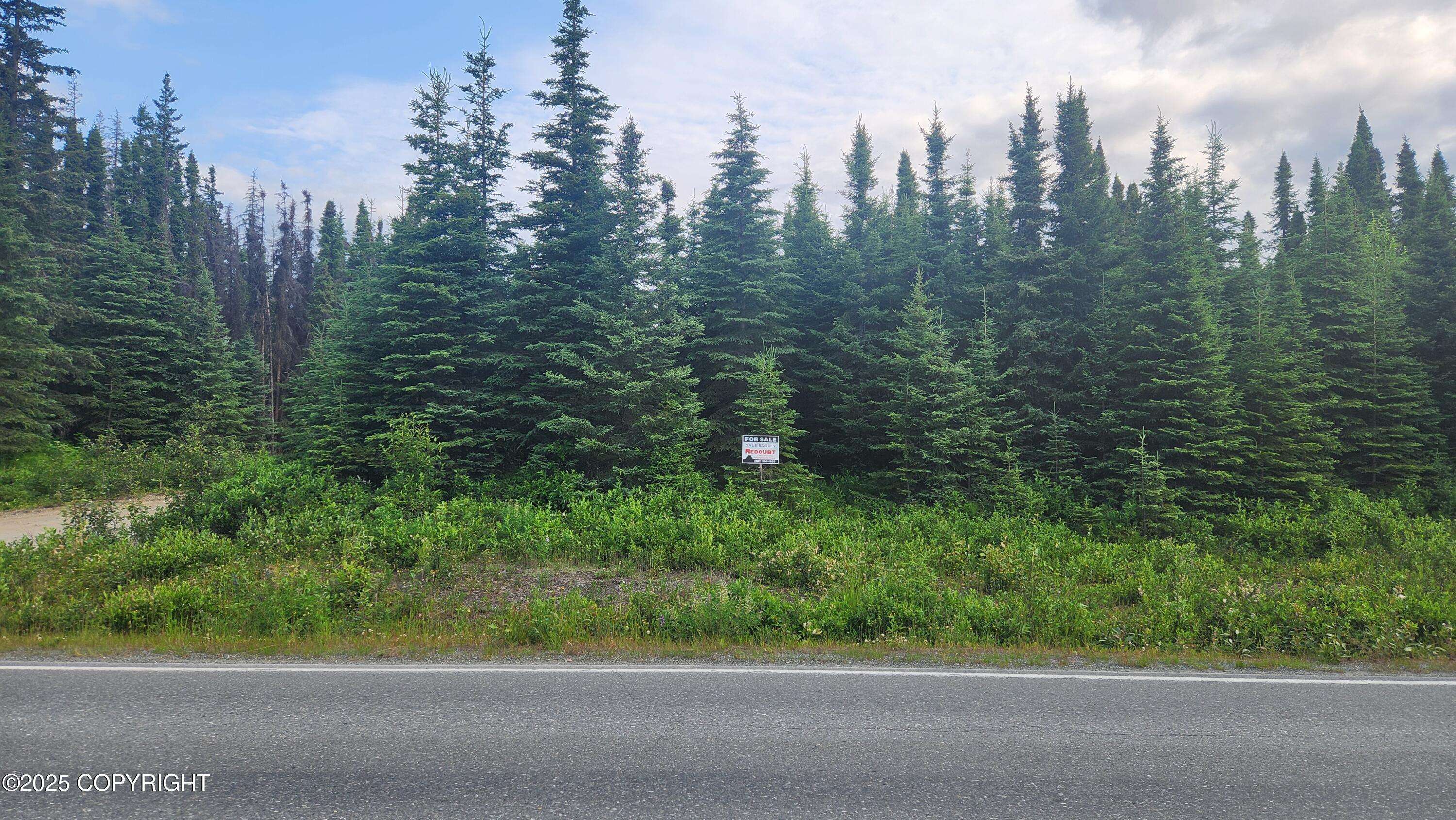 Soldotna, AK 99669,L1 B2 E Redoubt AVE