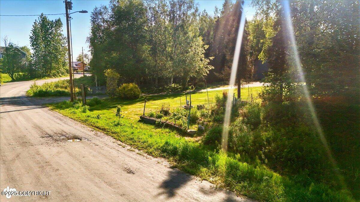 Soldotna, AK 99669,L19 Ross DR