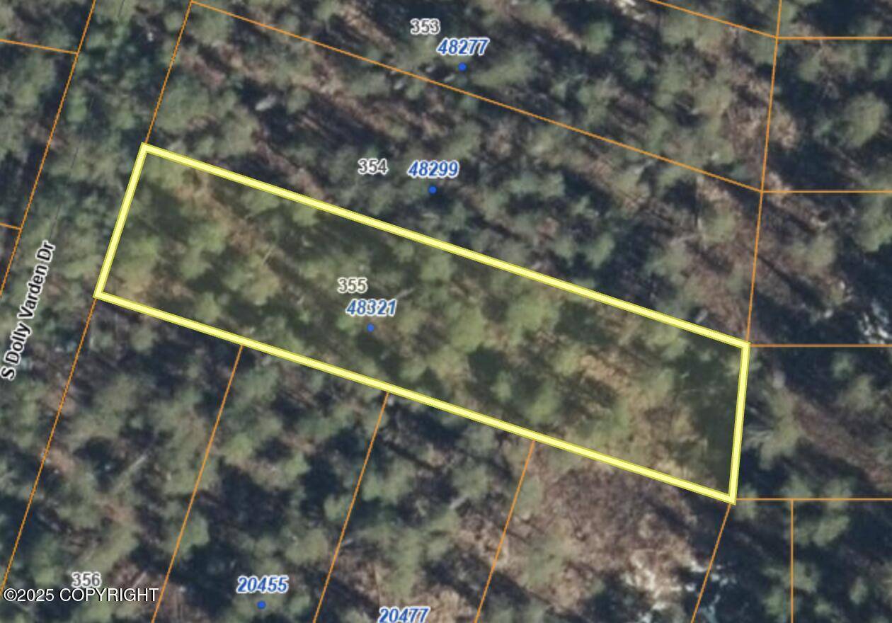 Willow, AK 99688,48321 S Dolly Varden DR