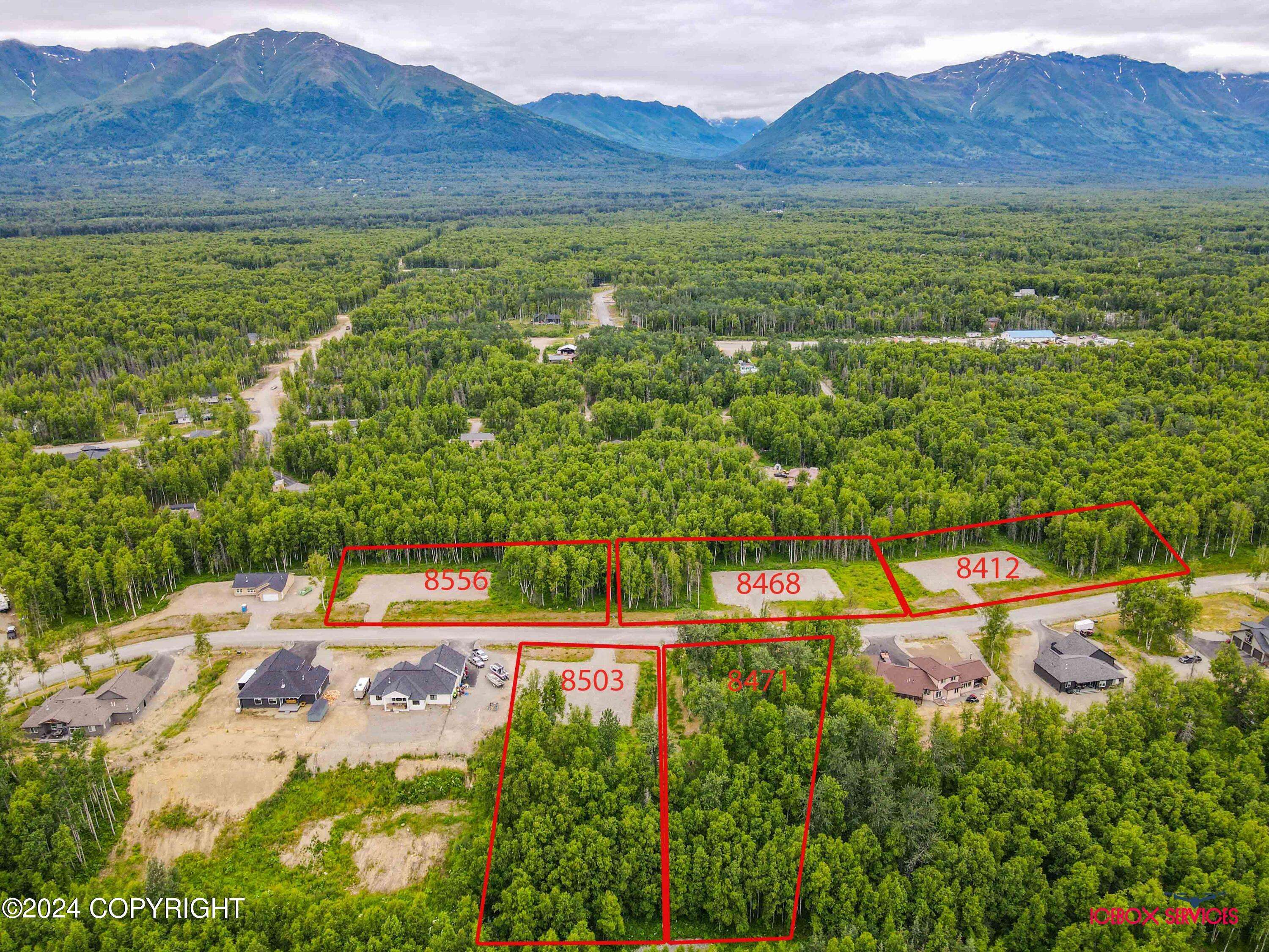 Palmer, AK 99645,L5 E Windy Woods LOOP