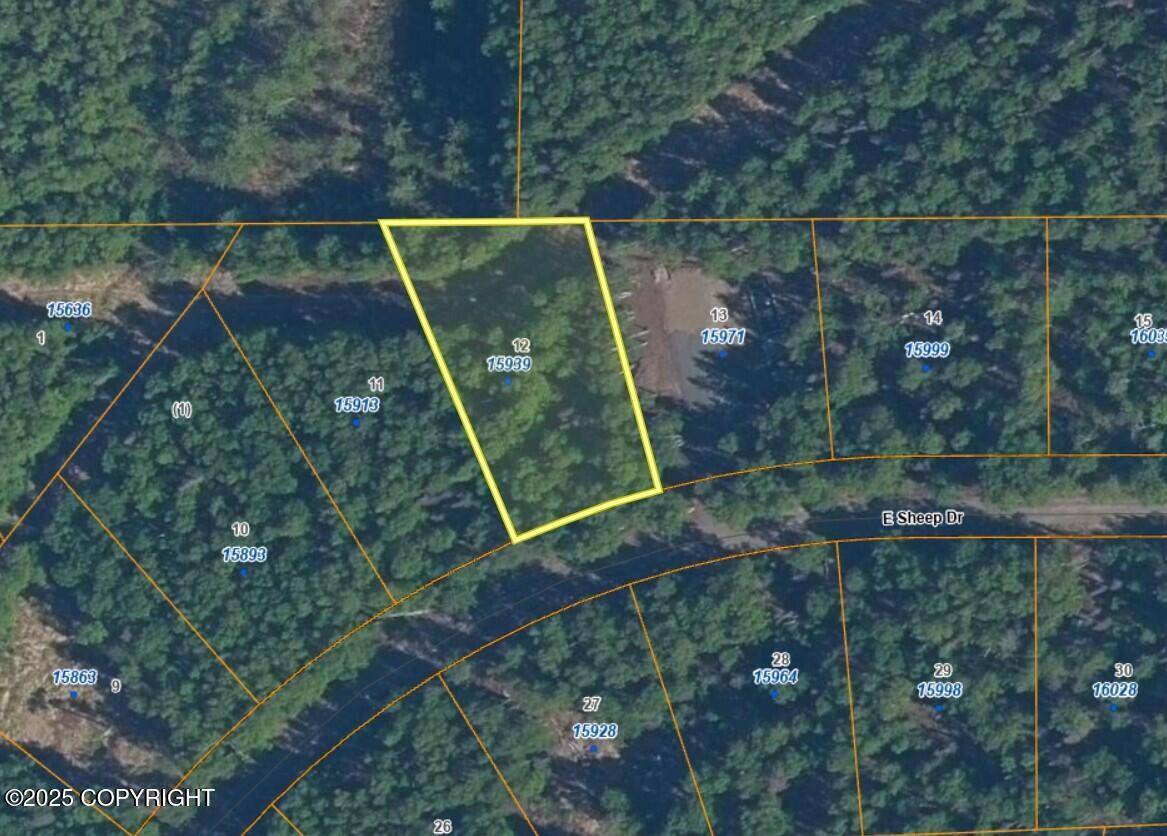 Talkeetna, AK 99676,15939 E Sheep DR