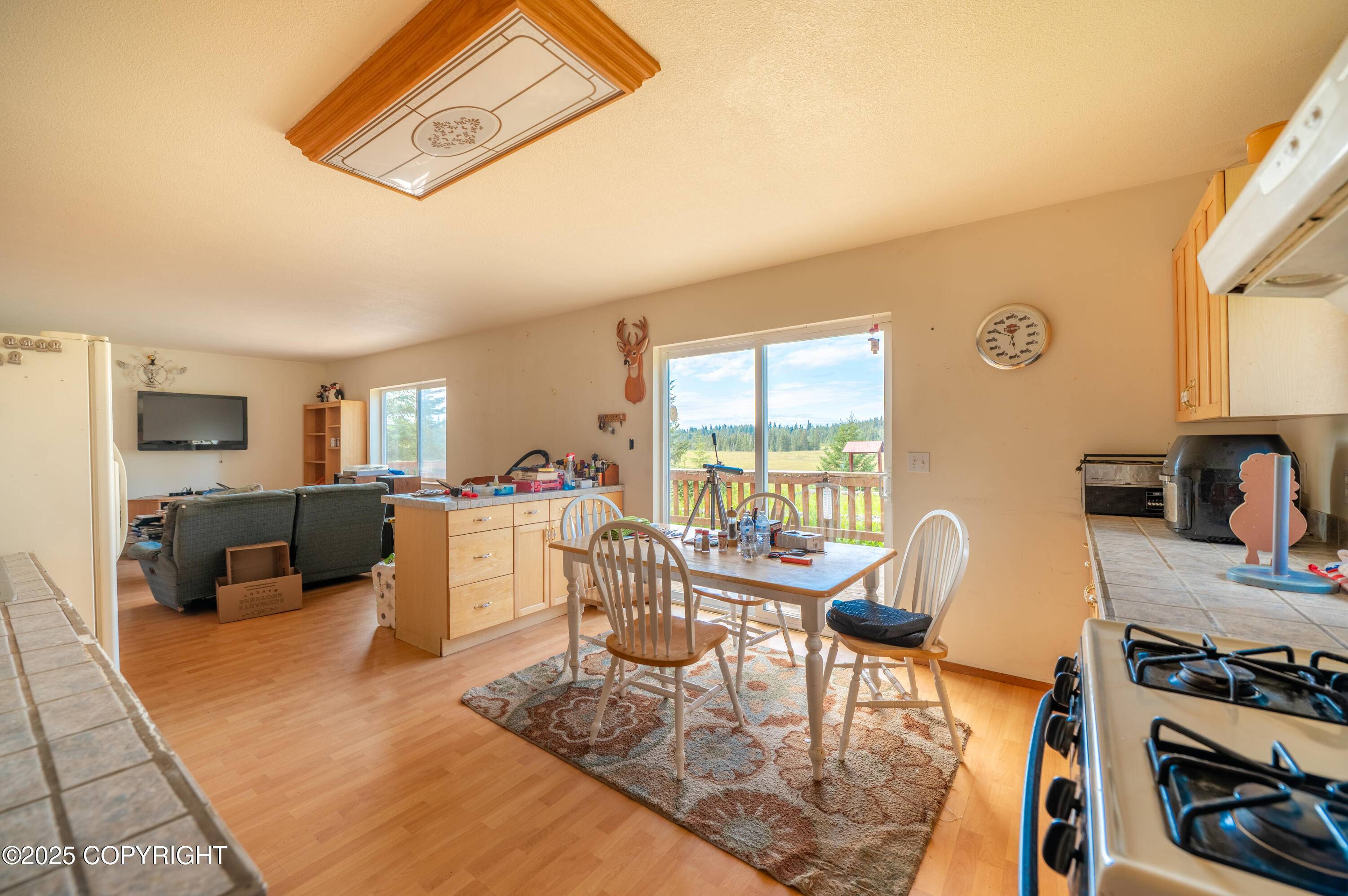 Anchor Point, AK 99556,70560 Tall Tree AVE