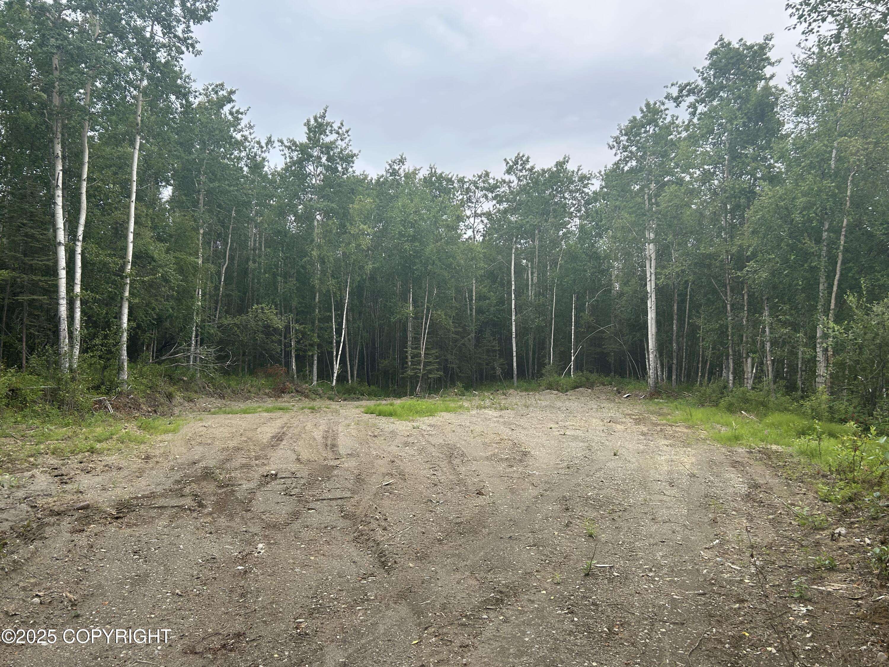 Nikiski/north Kenai, AK 99635,46737 Tauriainen TRL