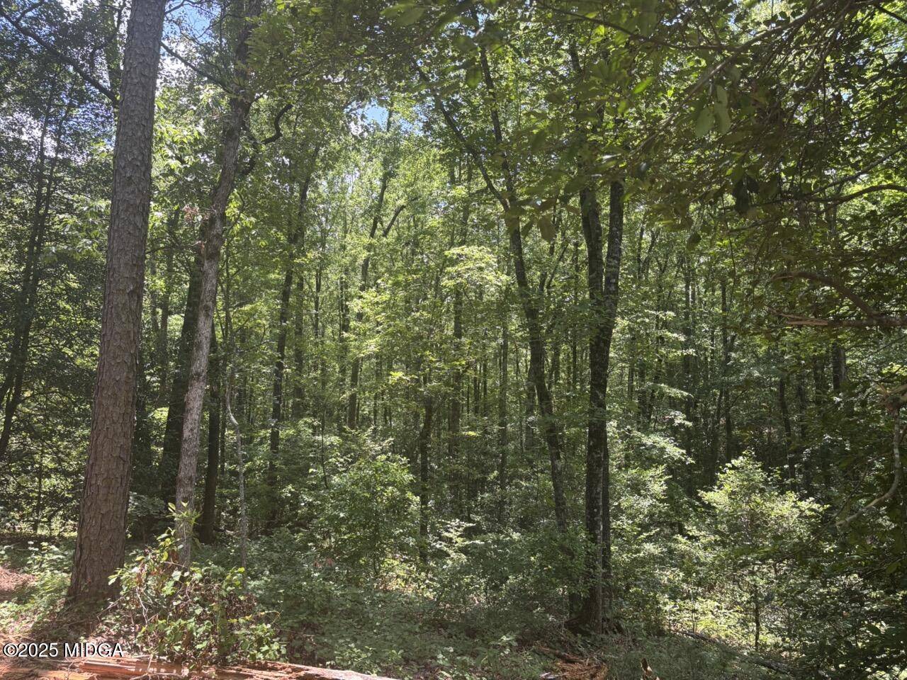 Macon, GA 31216,2 Longleaf Estates Road