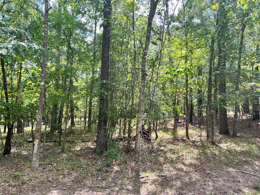 Coldspring, TX 77331,86 S Fairway LOOP