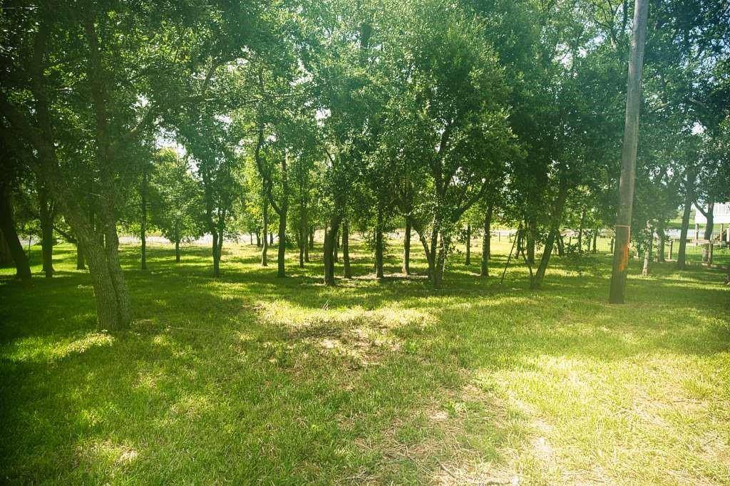 Sargent, TX 77414,1163 Private Road 652