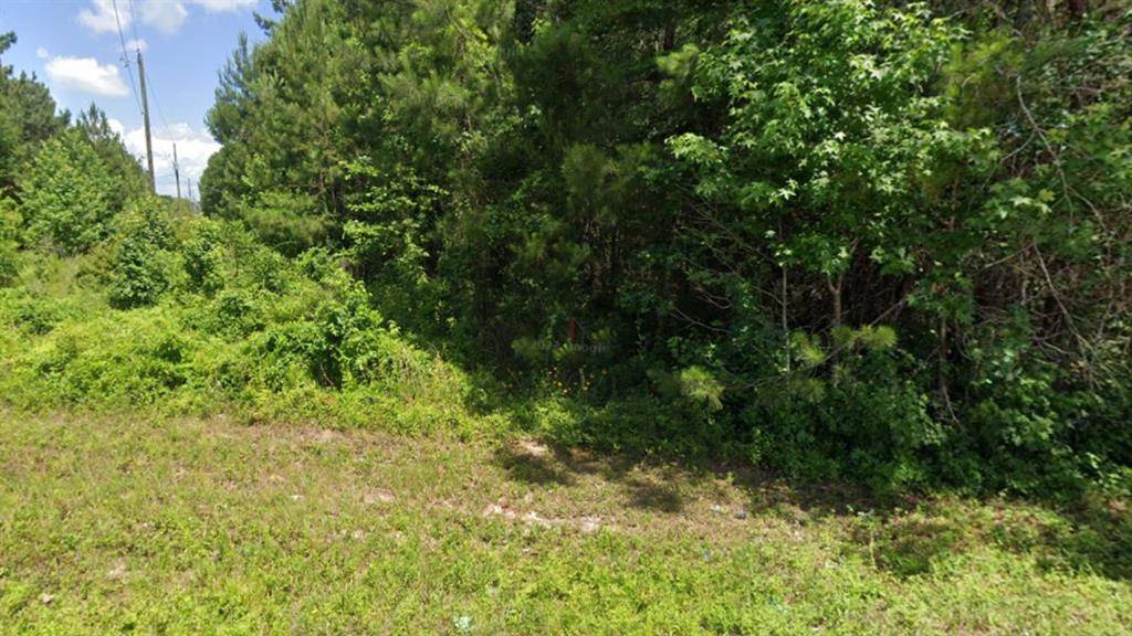 New Caney, TX 77357,19237 Kings ROW
