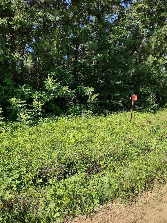 Plantersville, TX 77363,lot 2 Fox RUN