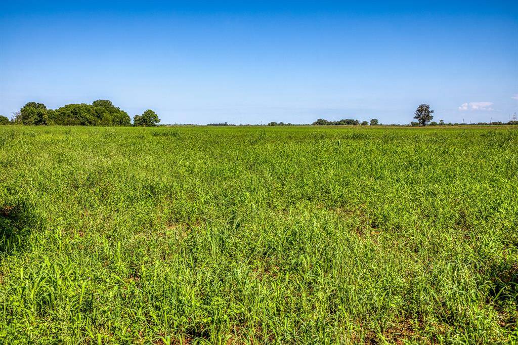 Snook, TX 77878,TBD County Road 276