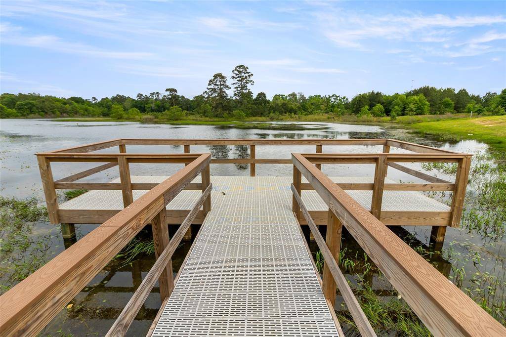 Magnolia, TX 77354,1503 Velado LN