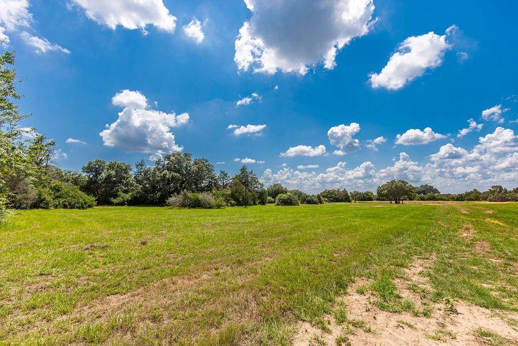 Cat Spring, TX 78933,TBD Jalowy RD