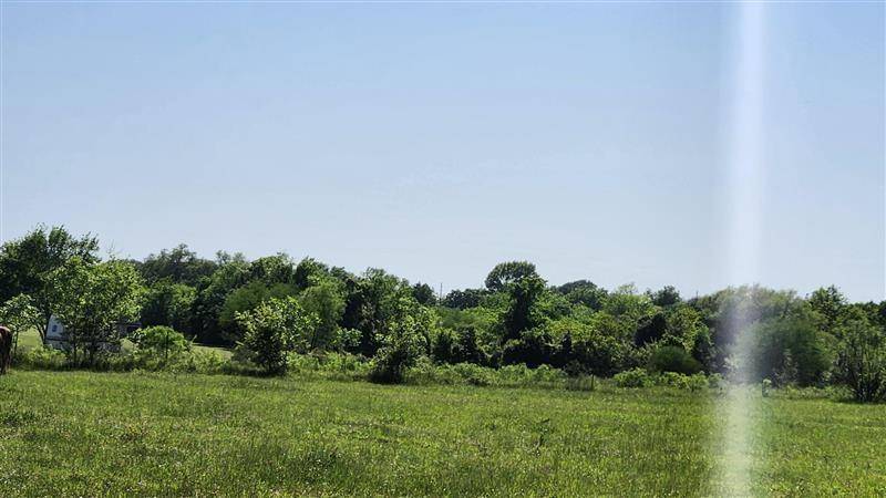Pattison, TX 77423,0 Sterling RD
