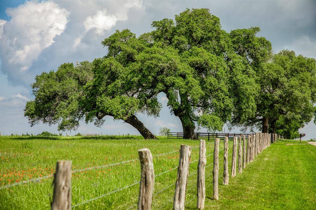 Brenham, TX 77833,4701 Cedar Hill RD