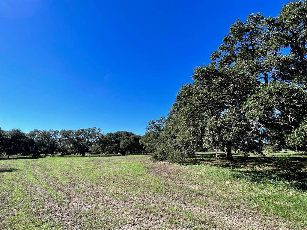 Brenham, TX 77833,TBD Affleck Appx 10 Acres RD