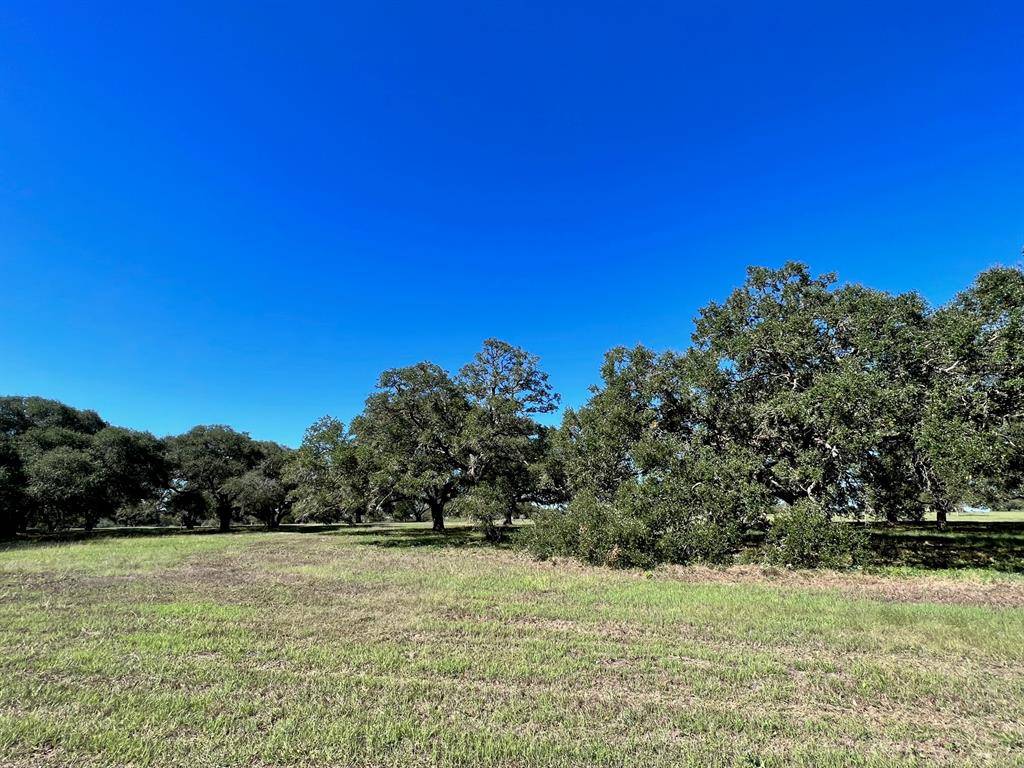 Brenham, TX 77833,TBD Affleck Appx 10 Acres RD