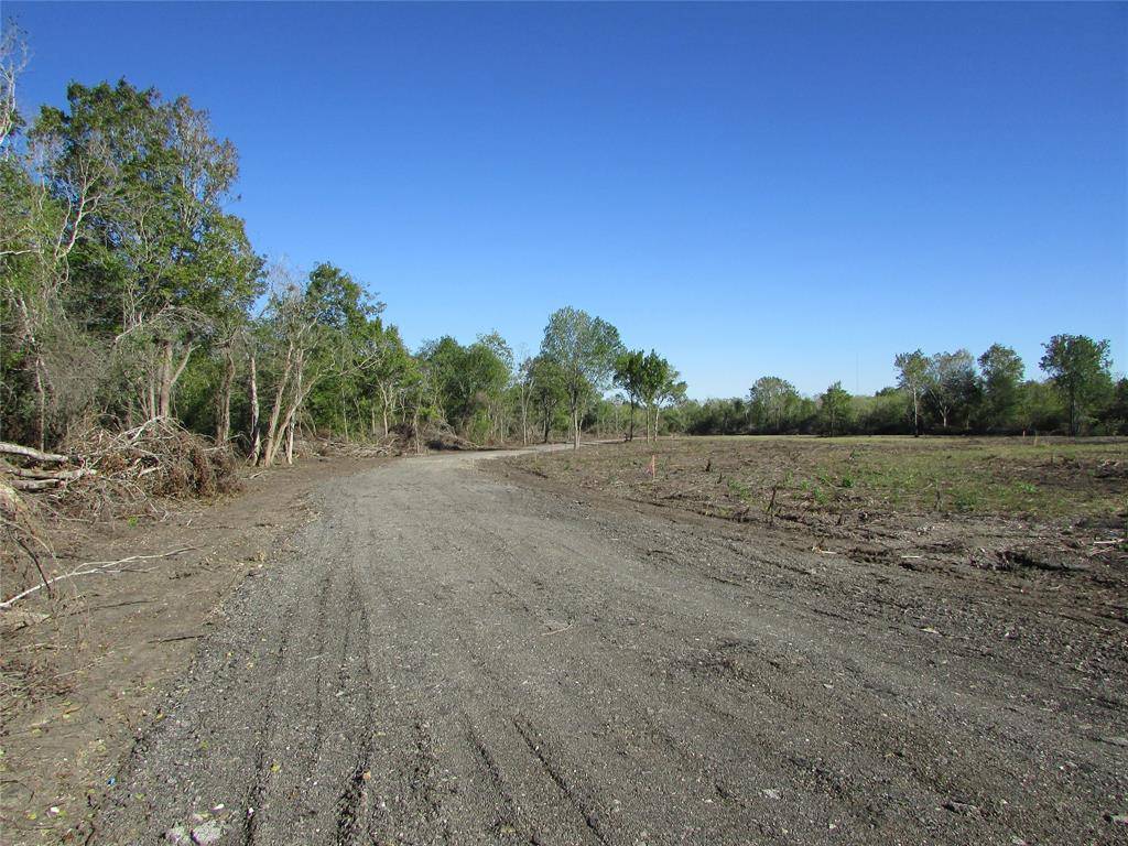 Rosharon, TX 77583,0000 (Lot 32) Trufle Rue ST