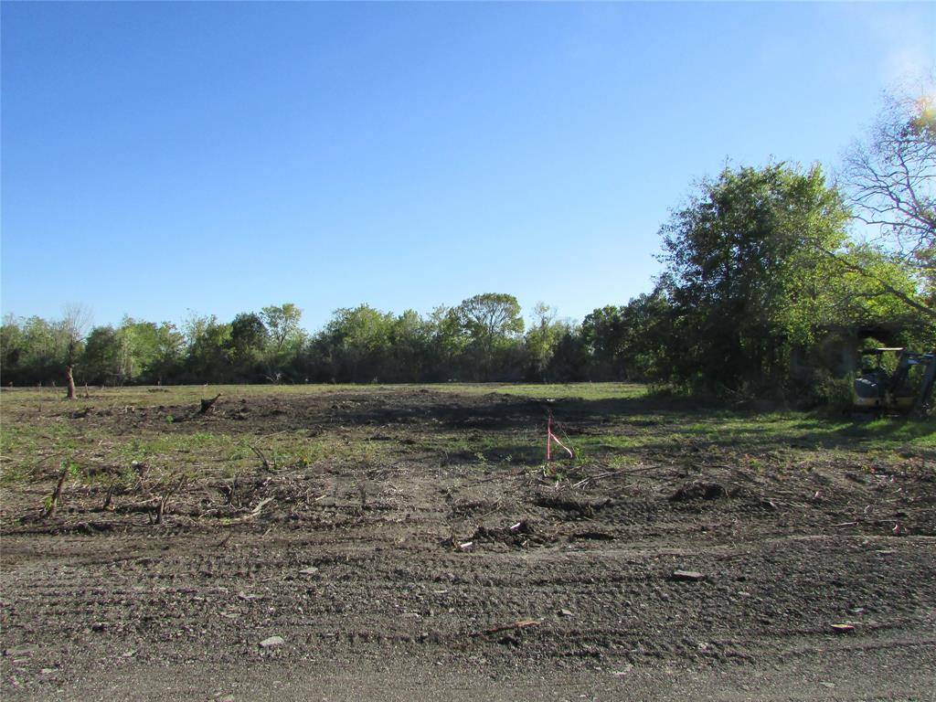 Rosharon, TX 77583,0000 (Lot 32) Trufle Rue ST