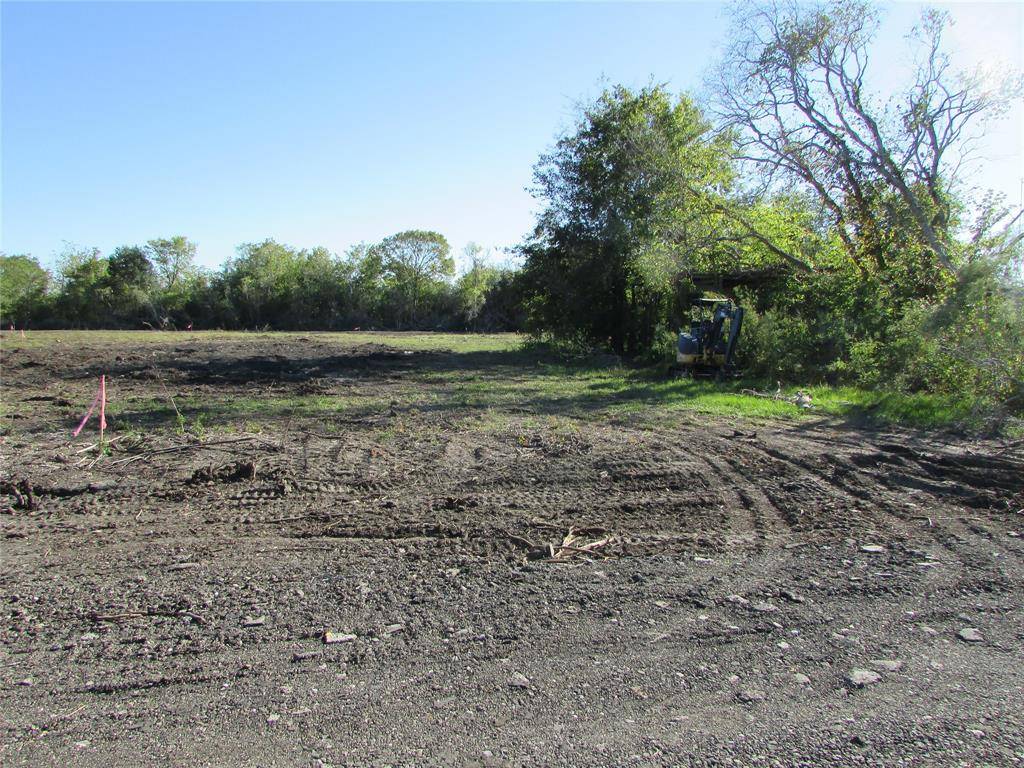 Rosharon, TX 77583,0000 (Lot 32) Trufle Rue ST