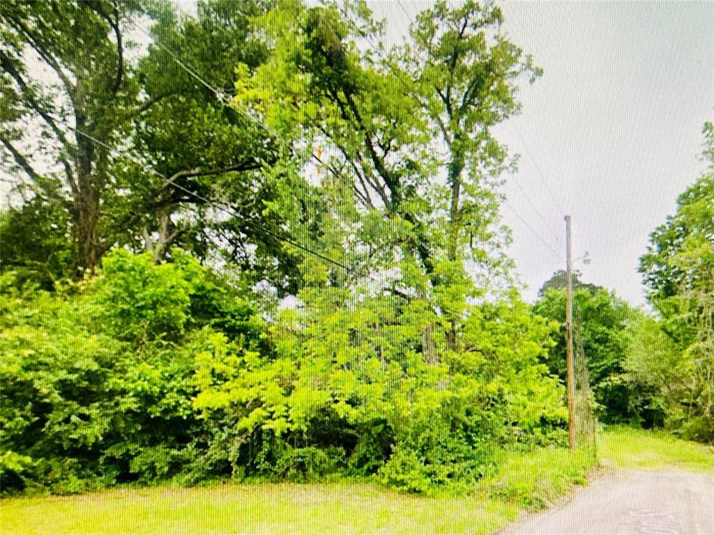 Livingston, TX 77351,0 Harrison ST