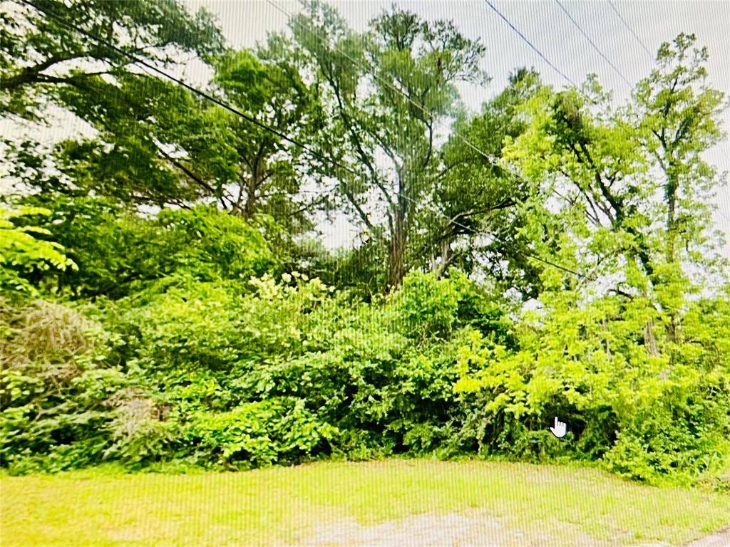 Livingston, TX 77351,0 Harrison ST