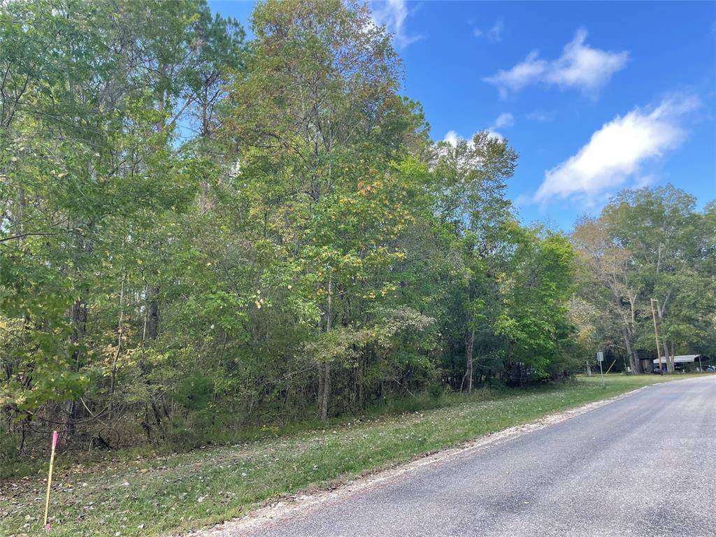 Coldspring, TX 77331,TBD Morris Creek RD