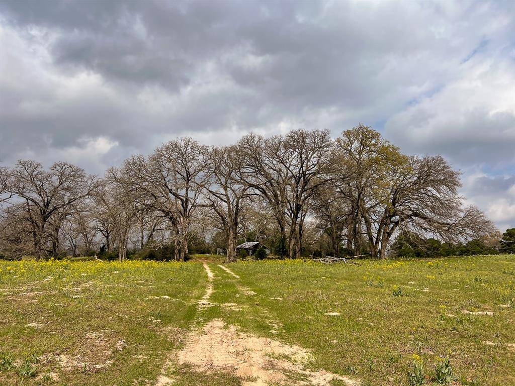 Grapeland, TX 75844,0 US Highway 287