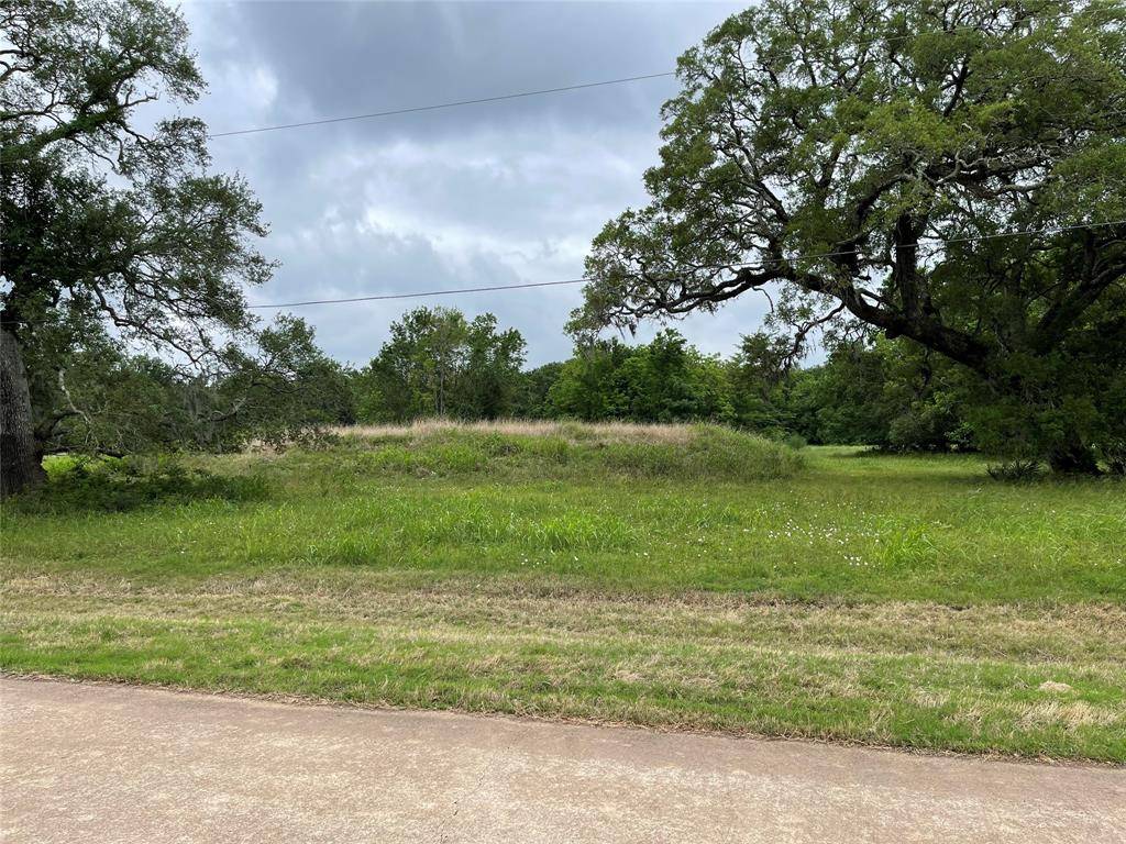 Angleton, TX 77515,526 Pony Trail TRL