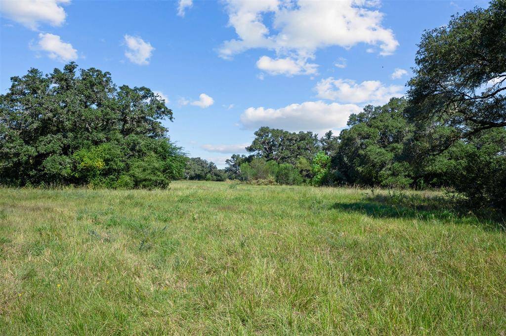 Columbus, TX 78934,Lot 7 Legacy Oaks Ln