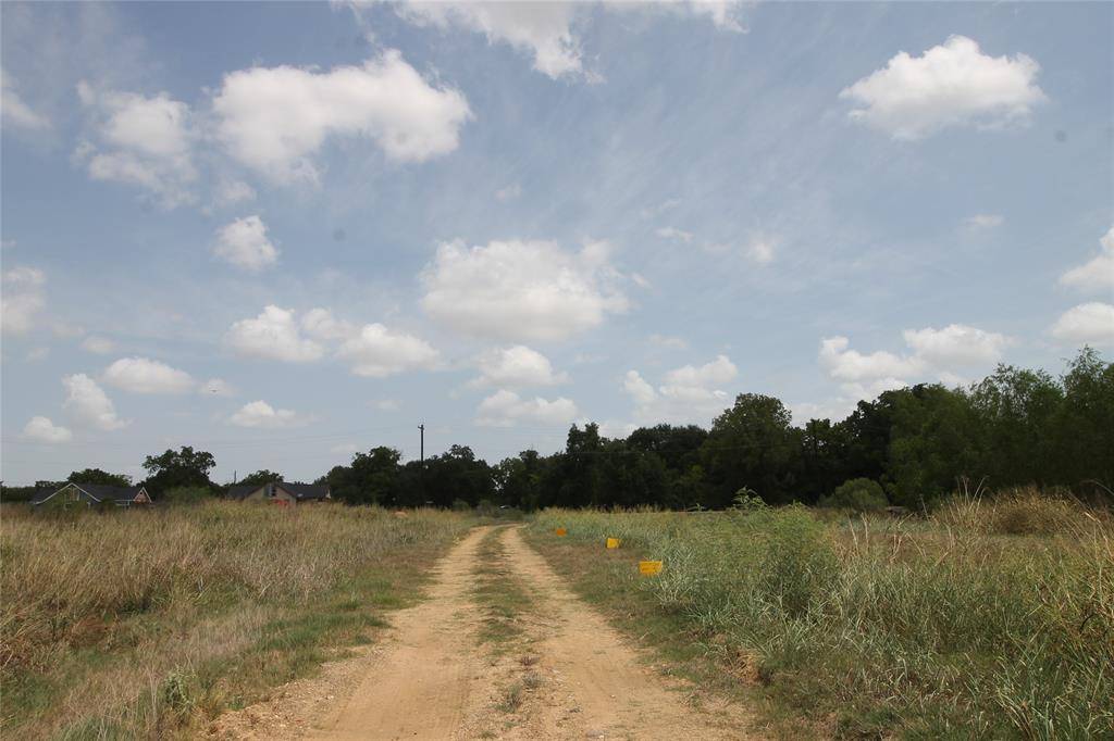 Hempstead, TX 77445,Lots 1-5 Washington ST