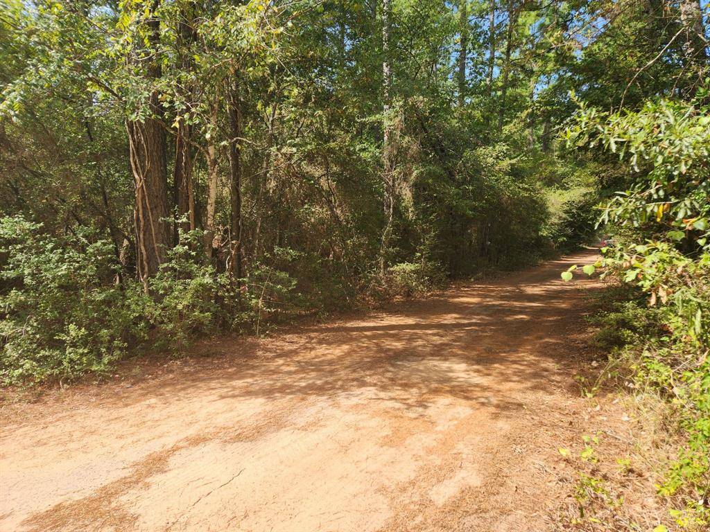 Plantersville, TX 77363,Lot 1 Cherry Tree LN