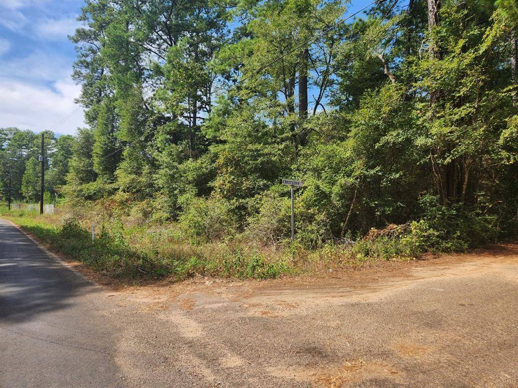 Plantersville, TX 77363,Lot 1 Cherry Tree LN