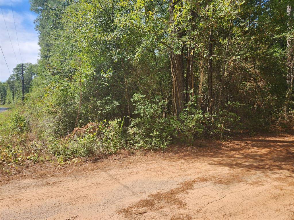 Plantersville, TX 77363,Lot 1 Cherry Tree LN