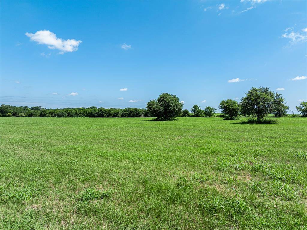 Round Top, TX 78954,TBD - Tract 15 Blossom Hill RD