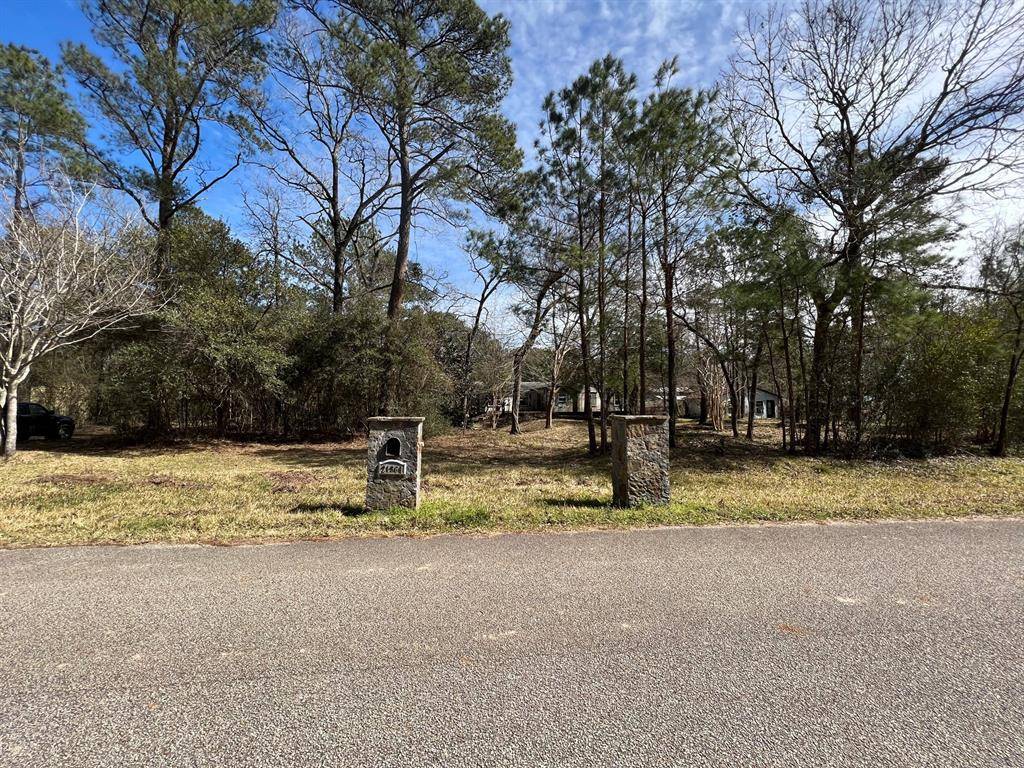 Magnolia, TX 77355,21360 Forestview DR