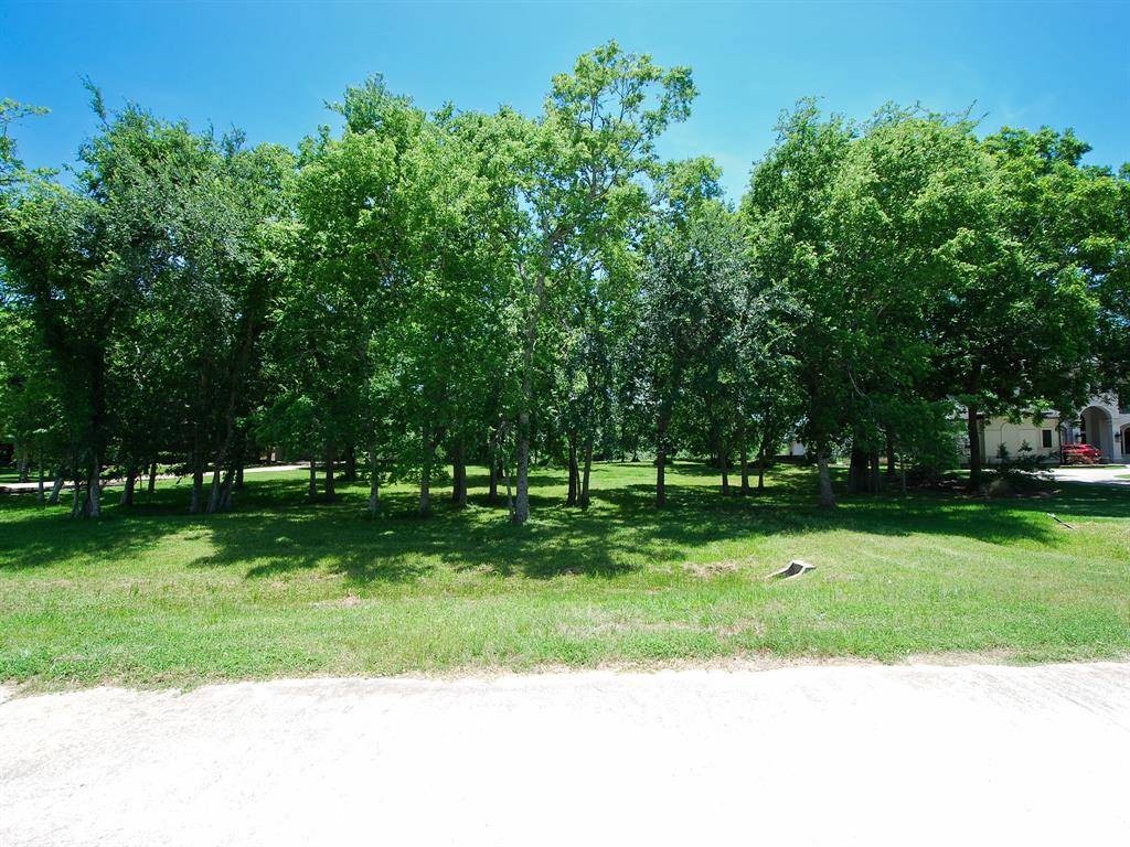 Fulshear, TX 77441,3219 Wellspring Lake DR