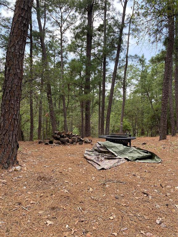 La Grange, TX 78945,000 Clear Lake DR