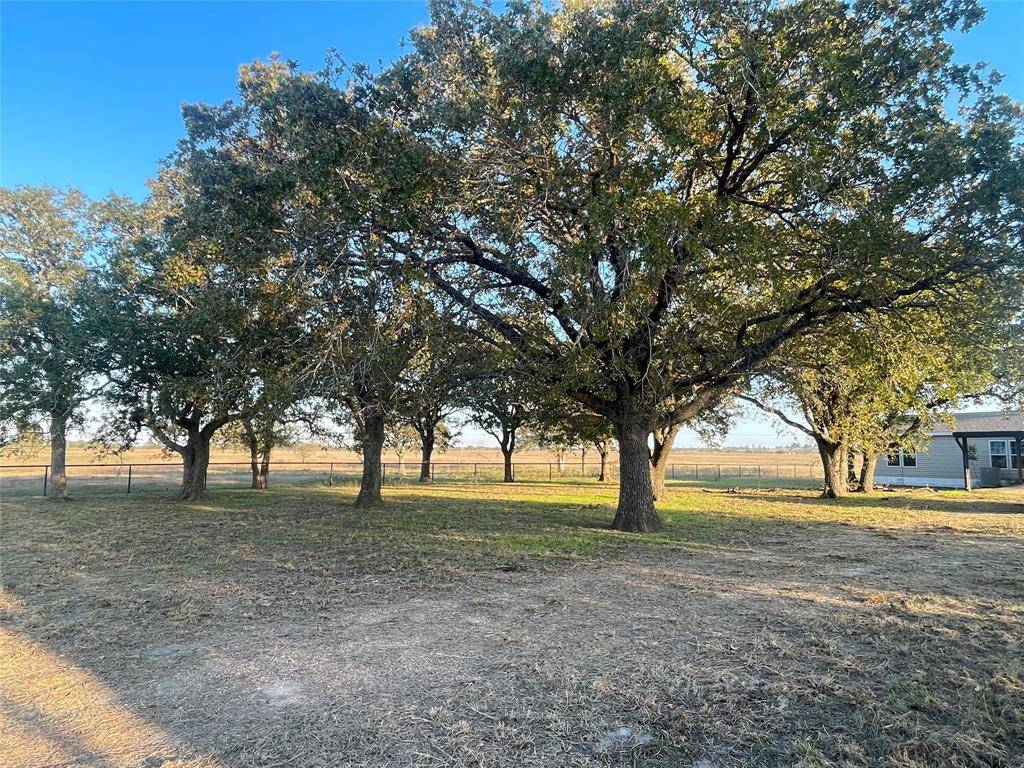 Bedias, TX 77831,TBD County Road 228 Tract 1