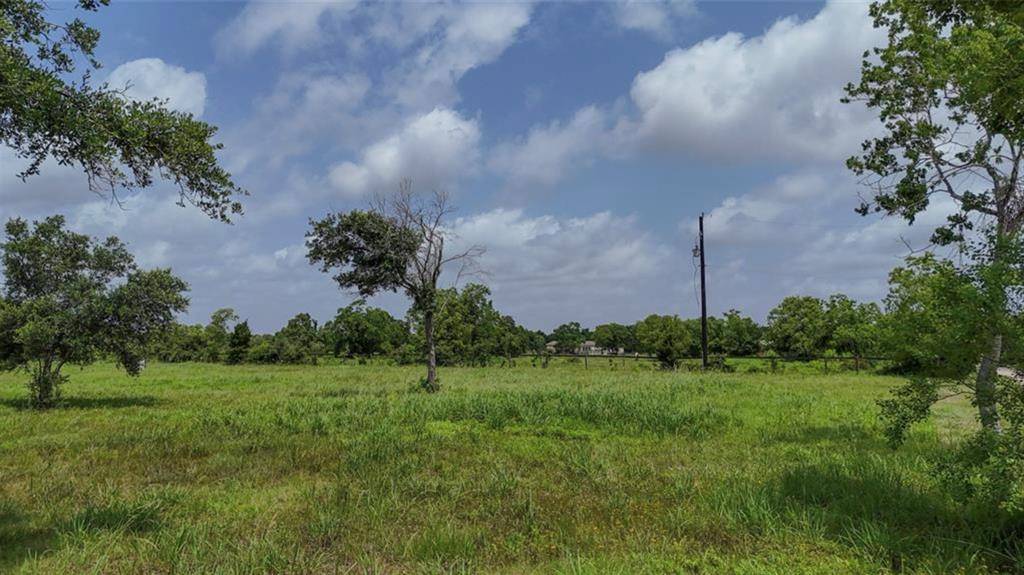 Santa Fe, TX 77511,000 County Road 154 Mustang