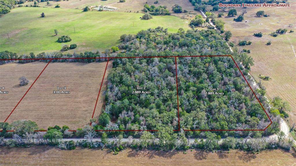 Bedias, TX 77831,Lot 2 County Rd 229