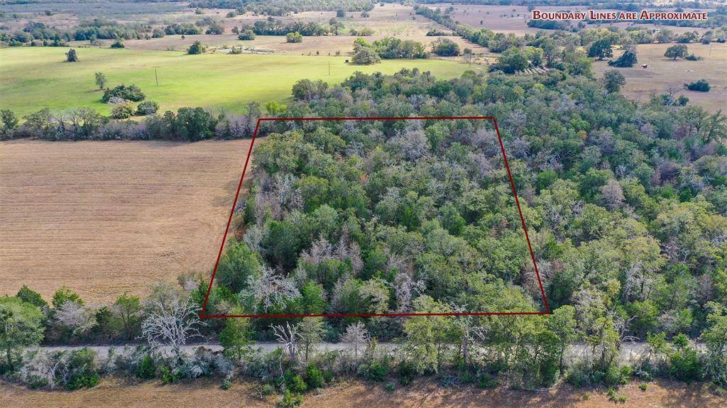 Bedias, TX 77831,Lot 2 County Rd 229