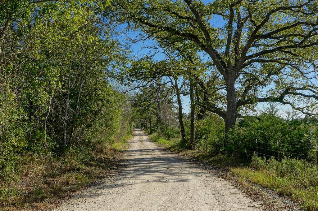 Bedias, TX 77831,Lot 2 County Rd 229