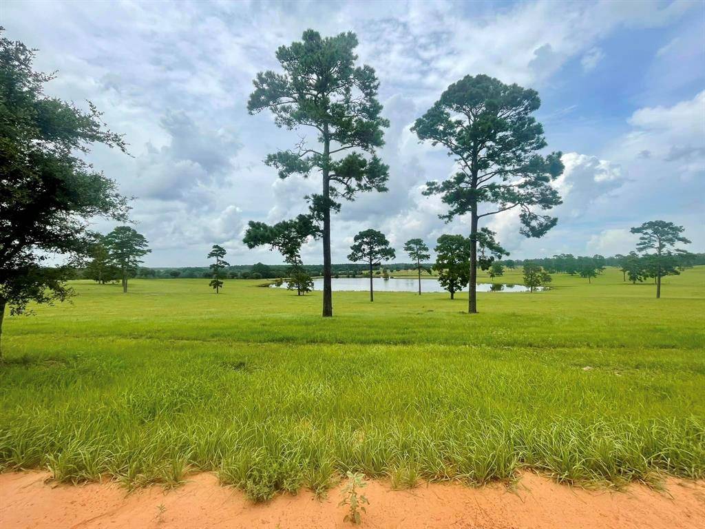 Hillister, TX 77624,TBD Lakeland Ranch Lot 234