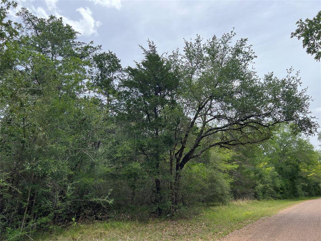 Schulenburg, TX 78956,Tract 1 Krischke RD