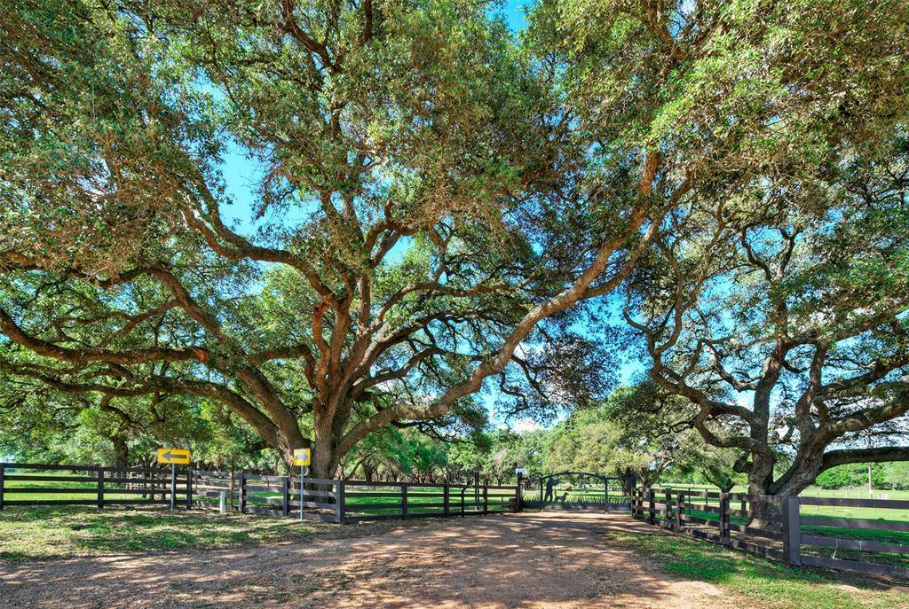 Cat Spring, TX 78933,0000 Frantz RD