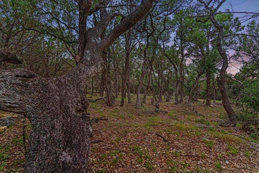 Wimberley, TX 78676,107 S Rainbow Ranch RD